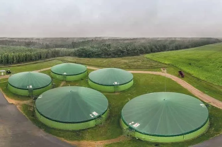 Jakie są realne koszty budowy przydomowej biogazowni?