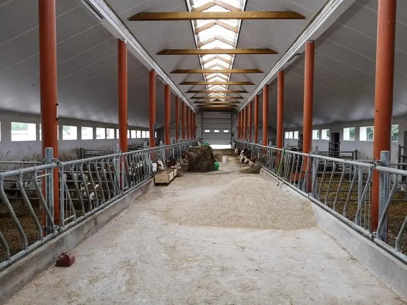 Jakie wydatki związane są z budową obory? Sprawdź, ile to kosztuje!