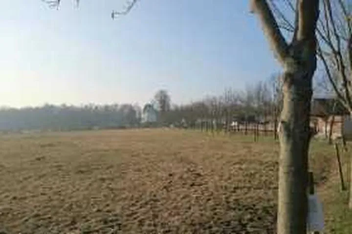 Współwłasność działki – jakie wyzwania stawia przed budową domu?