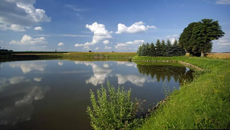 Budowa stawu hodowlanego