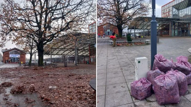 Ekologiczne środki czyszczące