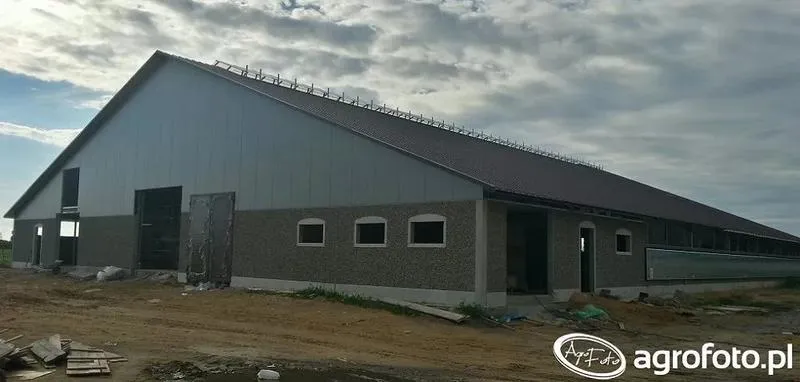 Koszty budowy obory dla różnych stad