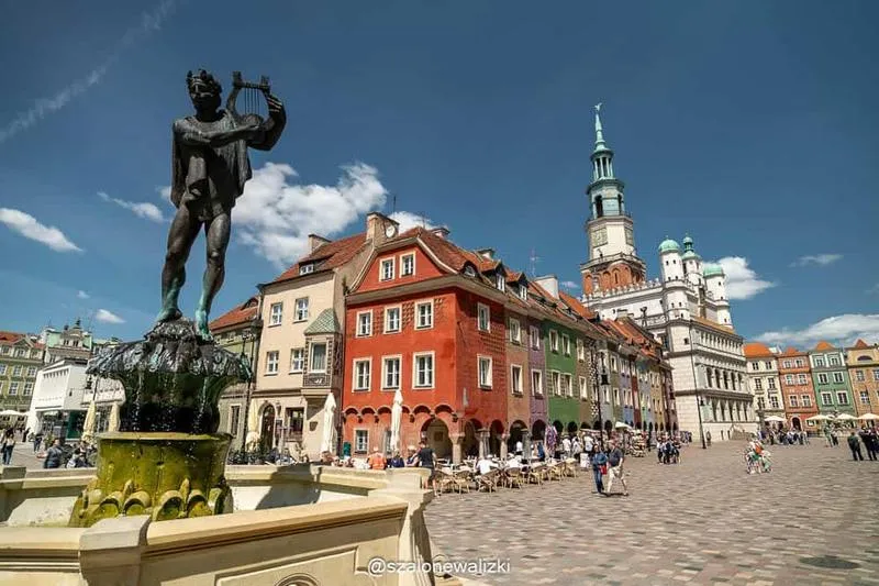 Odpady zielone Poznań