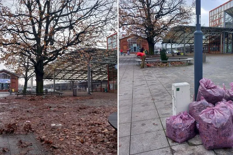 Planowanie sprzątania według pór roku