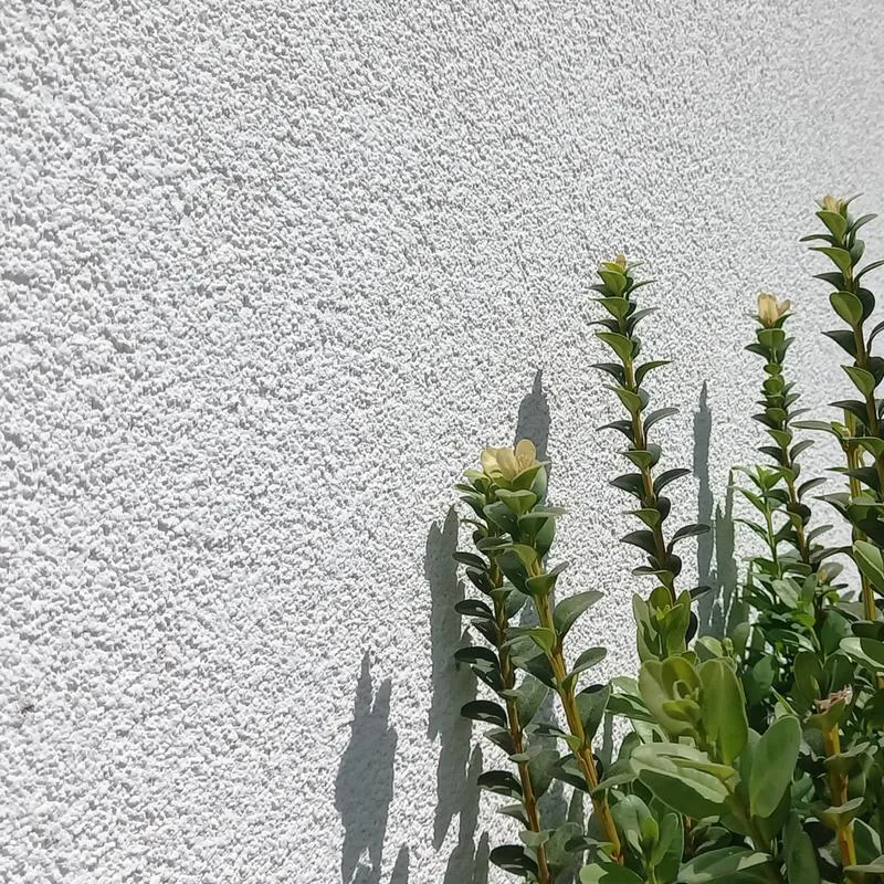 Rodzaje tynków fundamentowych