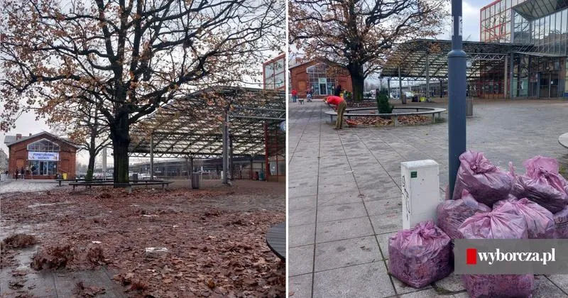 Wpływ sprzątania na zdrowie i samopoczucie