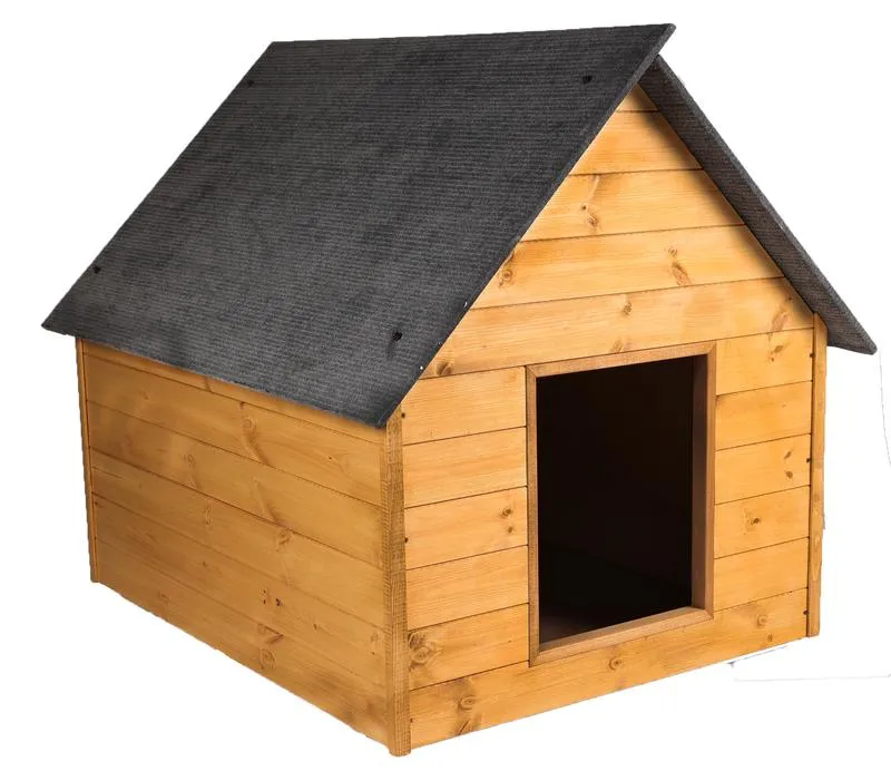 Wymiary i proporcje budy