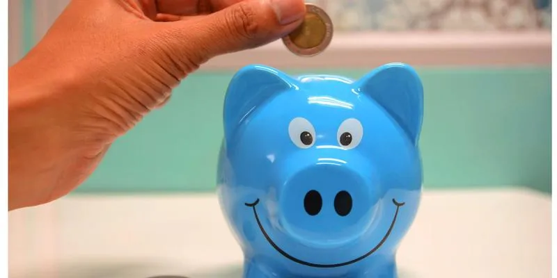 Źródła wkładu własnego